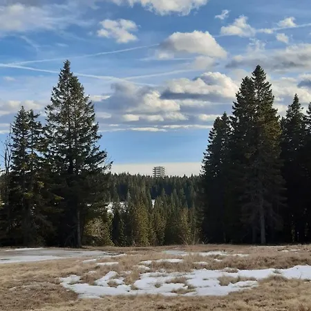 Apartmán Apartma Zoja