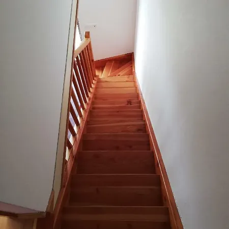 Apartma Zoja Zreče